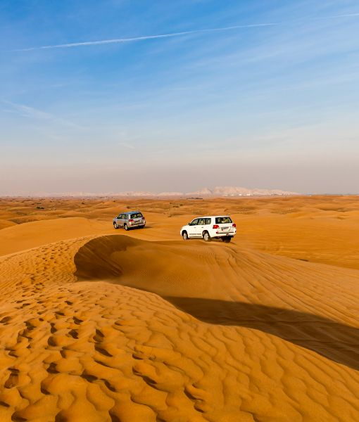 Desert Safari